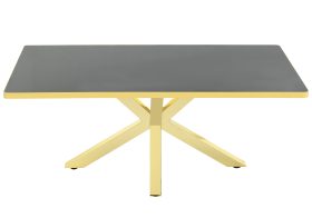 Titanic Dikdörtgen Gold Orta Sehpa